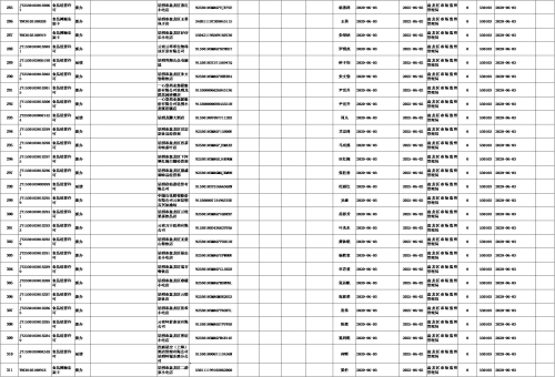 图片19