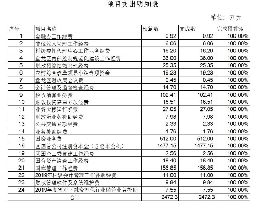 项目支出明细表