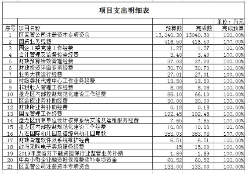 2020年项目支出明细表