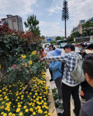 （绿化）盘龙区开展2022年夏季城市园林管养技术交流培训898