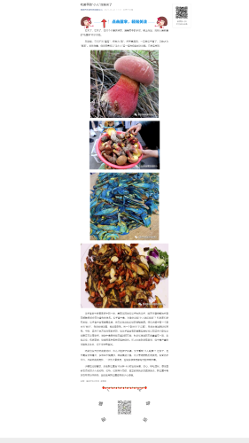 吃菌季防“小人”攻略来了