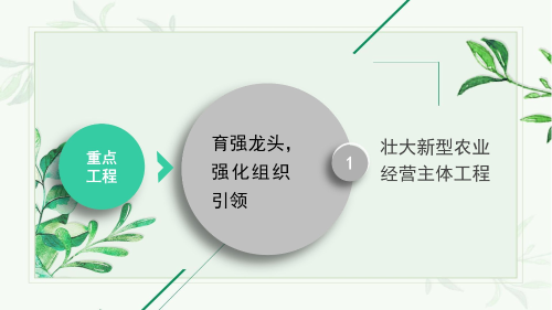 图片7