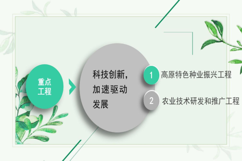 图片8