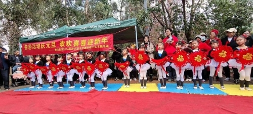 图片1