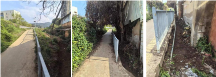 <span style='background-color:;'><span style='background-color:;'>17248332311</span></span>92