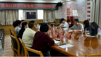 政企携手谋发展法治护航优环境——盘龙区司法局召开涉企行政检查工作座谈调研会（修）(3)490