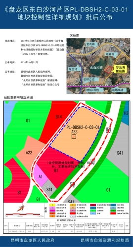 《盘龙区东白沙河片区PL-DBSH2-C-03-01地块控制性详细规划》批后公布