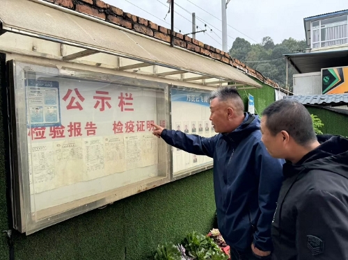 图片4