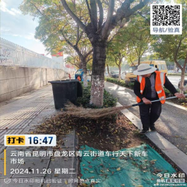 11.29开展落叶集中清理工作 守护城市“颜值”577