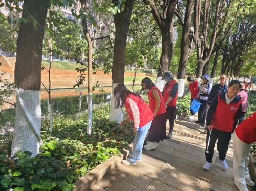 图片2