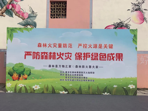 图片4