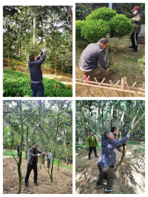 政务信息第45期（金殿春季“梳妆”好时节 绿化修剪不停歇）71