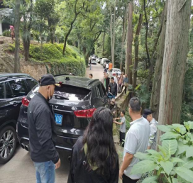 政务信息第60期（金殿名胜区端午节期间暖心救援与寻亲行动）77