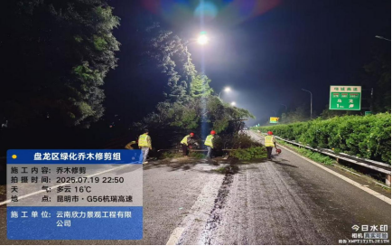 1_风雨砺初心，抢险应急显担当--盘龙区全力打响高大乔木倒伏阻击战07.22(2)353