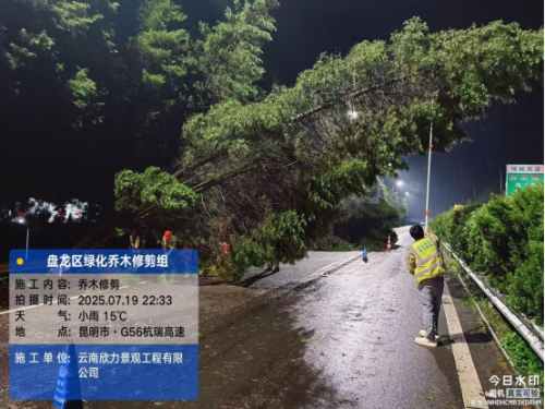 1_风雨砺初心，抢险应急显担当--盘龙区全力打响高大乔木倒伏阻击战07.22(2)470