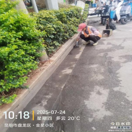 2025.7.25清淤排涝+精细保洁 全力保障盘龙区路畅景净599