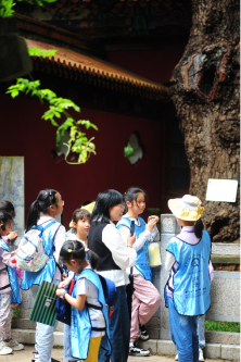 政务信息第70期（金殿研学首牵盘龙区青少年活动中心夏令营）488