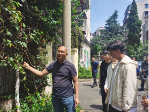 给绿化“开药方”：盘龙区红火蚁、菟丝子专项防治培训筑牢生态防线（简报8.15最新）868
