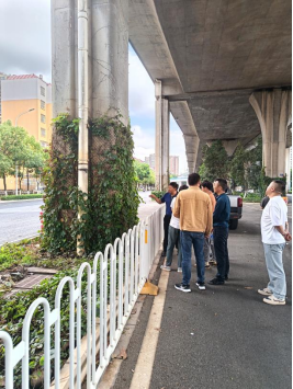 桥“披”绿装焕新颜——盘龙区立交桥桥墩绿化工程圆满验收(1)422