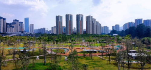 增绿提质惠民生——盘龙区2025年绿地建设成效显著538