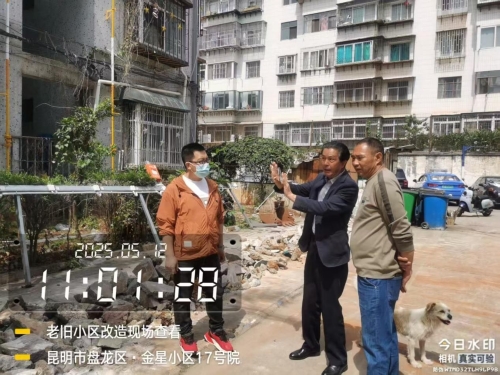 图片1