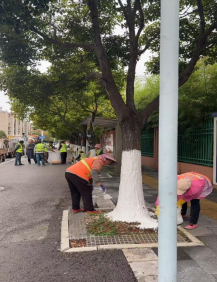 为树木穿“冬衣” 盘龙绘就冬日风景线328