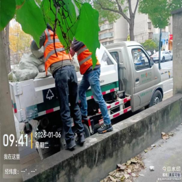 2026.1.9聚焦爱国卫生专项行动 强化寒潮应急保障613