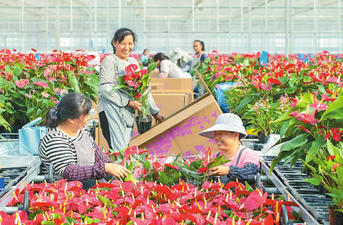 9fbcaaf660a20d841687fe91137309d8