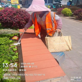 2026.3.6狠抓环卫整治 守护盘龙洁净541