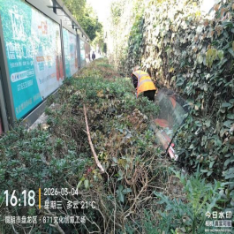 2026.3.6狠抓环卫整治 守护盘龙洁净542