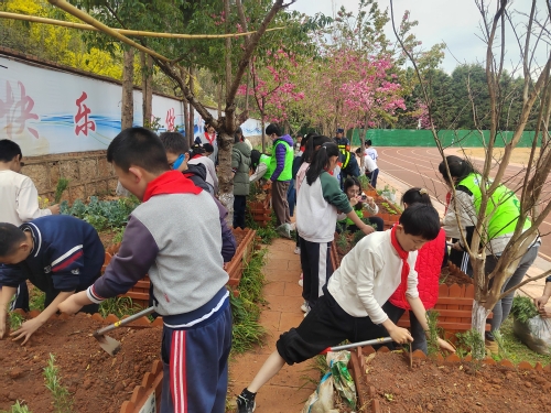 微信图片_20260312153052_31_24