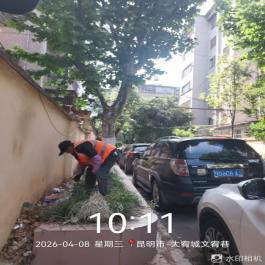 2026.4.10备战汛期强管护 精细保洁护环境580