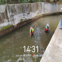 2026.4.10备战汛期强管护 精细保洁护环境585
