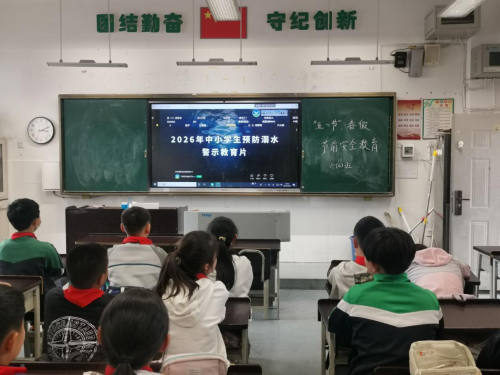 图片3